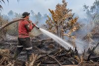 Pemerintah dan warga Dayun Siak bentuk tim gabungan cegah Karhutla.(foto: diana/halloriau.com)