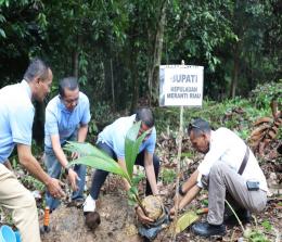 Bupati Kepulauan Meranti menanam kelapa di kawasan Ibu Kota Nusantara (IKN) di Kabupaten Penajam Paser Utara Kalimantan Timur.