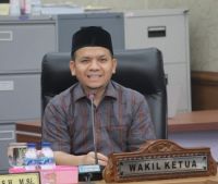 Wakil Ketua DPRD Riau Ahmad Tarmizi.