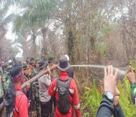 Polisi Tangkap Pelaku Karhutla di Teluk Meranti, 500 Hektare Lahan Terbakar