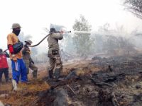 Pemprov Riau Pastikan Dana Karhutla Dikelola Transparan dan Akuntabel (foto/int)