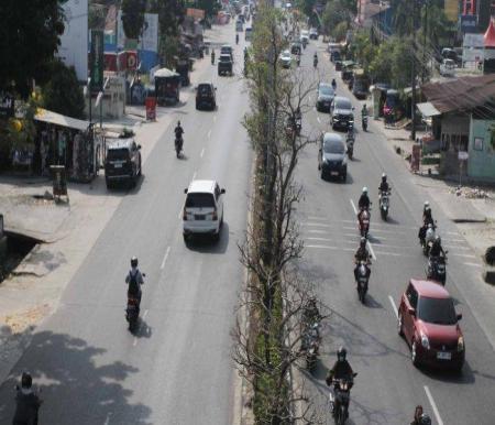 DLHK Pekanbaru diminta lakukan perawatan ekstra pohon di median jalan (foto/tribunpku)