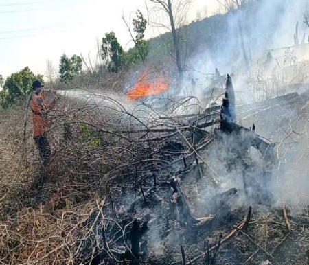 Titik asap masih terpantau di lokasi Karhutla di Desa Kuala Terusan, Kecamatan Pangkalan Kerinci (foto/tribunpku)