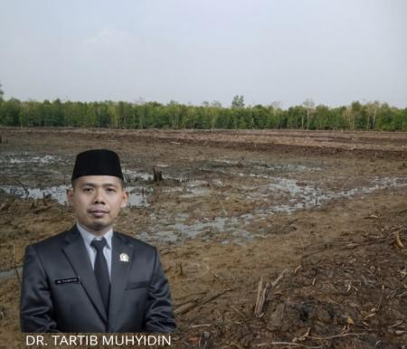 Dr Tartib diduga telah melakukan penyerobotan kawasan hutan mangrove seluas 1 hektare di Desa Maini Darul Aman.