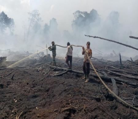 Ilustrasi ancamn Karhutla di Riau selama musim kemarau (foto/int)