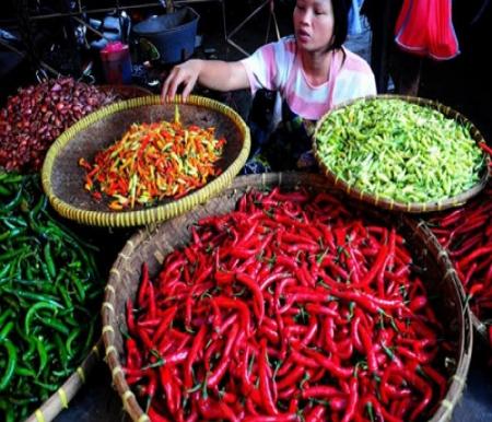 Stok Aman, Harga Cabai Merah di Pekanbaru Terkendali Jelang Ramadan