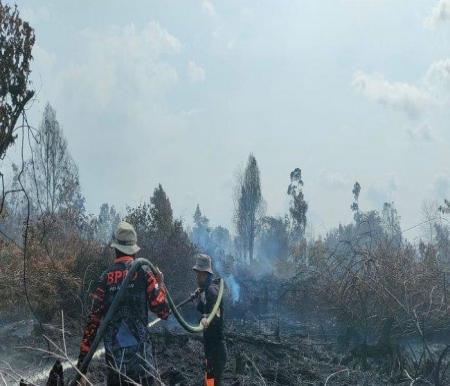 Ilustrasi cuaca panas memicu kebakaran lahan di Pekanbaru (foto/int)