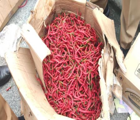 Harga Cabai di Pekanbaru Tembus 80 Ribu, Pasokan Sumatera Terganggu Bencana  