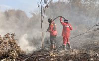Ilustrasi Riau terdeteksi 156 hotspot atau titik panas (foto/int)