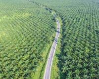 Ekspor Riau Masih Perkasa! Surplus US$4,36 Miliar Ditopang CPO dan Industri