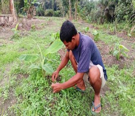 Priyanto salah satu penerima manfaat program pisang barangan sekaligus Anggota Kelompok Tani Maju Makmur.(foto: istimewa)