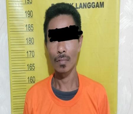 Aksi Senyap Gagal Total, Pencuri Sawit Ditangkap Polisi Pelalawan Saat Beraksi di Kebun