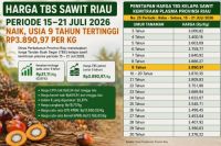 Harga Sawit Riau Kembali Naik, Petani Plasma Nikmati TBS Hampir Rp3.900 per Kg