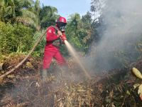 Ilustrasi lima titik panas terpantau di Riau (foto/int)