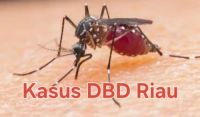 Ilustrasi kasus DBD di Inhu melonjak tajam (foto/int)