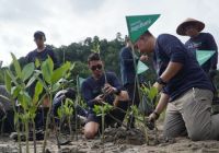 Telkomsel gandeng komunitas lestarikan pesisir lewat program jaga bumi.