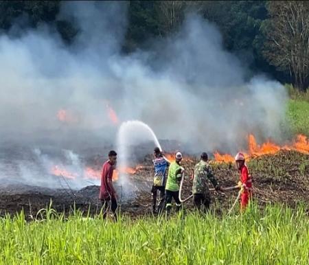500 Hektare Lahan Gambut di Pelalawan Ludes Terbakar Demi sawit Instan, Polisi Tangkap Dalang Pembakaran