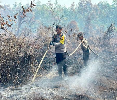 Ilustrasi Karhutla masih mengancam Kota Pekanbaru di musim kemarau (foto/int)