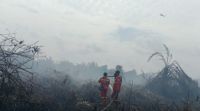 Ilustrasi 27 hotspot menyala di Riau (foto/int)