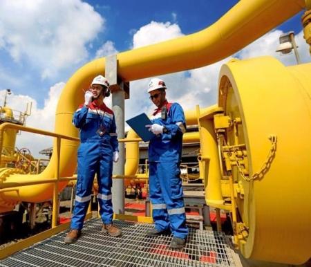 PGN Perkuat Ketahanan Energi Nasional Lewat Inovasi SNG dan Biometana