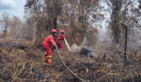Api Bakar Kebun Sawit Warga di Pelalawan, Petugas Bergerak Cegah Karhutla Meluas