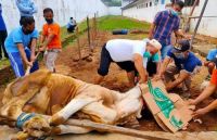 Pekanbaru fokus tingkatkan kualitas juru sembelih halal.(ilustrasi/int)