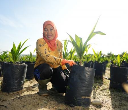 Inovasi Terobosan Benih Perkuat Ketahanan Iklim di Sektor Kelapa Sawit Indonesia