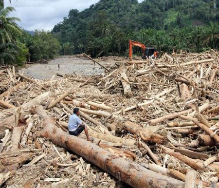 Satgas PKH: Dugaan Pidana Kerusakan Hutan Libatkan Perusahaan