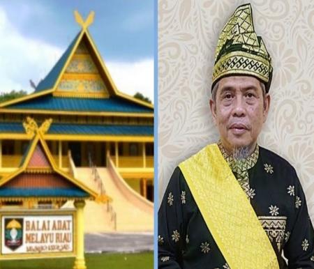 Dewan Pimpinan Harian (DPH) LAM Riau, Datuk Seri Taufik Ikram Jamil (foto/int)