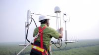 Nardi, Asisten Manager GHG Monitoring APRIL, memeriksa instrumen pemantau gas rumah kaca di puncak Menara Greenhouse Gas (GHG) Peatland, Semenanjung Kampar, Kabupaten Pelalawan (foto/Andy)