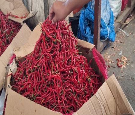 Pemprov Riau Datangkan Cabai Merah dari Sleman, Harga Rp58 Ribu per Kilogram