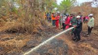 Ilustrasi Riau nihil dari Karhutla (foto/int)