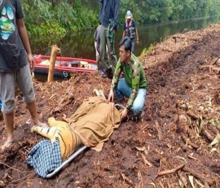 Proses evakuasi Harimau Sumatera pasca terjadinya peristiwa penyerangan yang tewaskan seorang pekerja di hutan Pelalawan. (Foto: Tribun Pekanbaru/Dokumentasi BBKSDA)