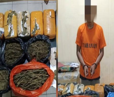 Pengedar ganja 7 kilogram siap edar diciduk di Perawang (foto/int)