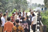 Bupati Rohil, Bistamam tinjau kondisi Jembatan Sungai Tapah (foto/afrizal)