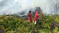 Pemadaman karhutla di Kerumutan, Pelalawan.(foto: int)