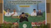 Ketua Umum DPP Apkasindo Dr. Ir. Gulat Medali Emas Manurung (foto/ist)