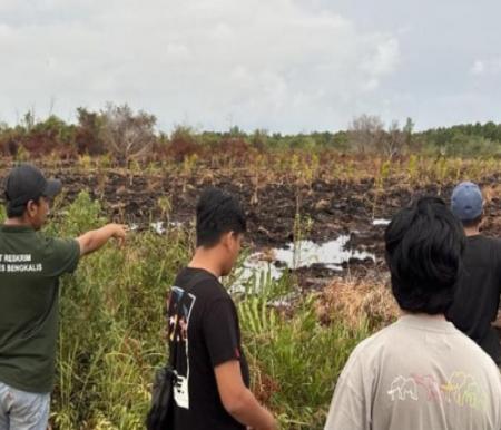 Ceroboh Bakar Semak Habisi Sarang Tawon, Lahan Warga Bantan 3 Hektare Ludes Terbakar