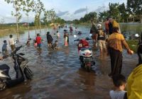 Banjir Pelalawan.(ilustrasi/int)