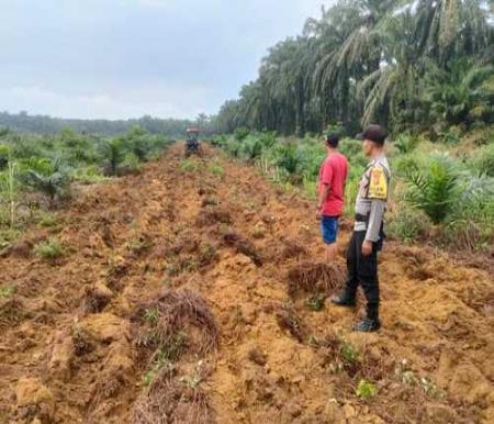 Kapolsek Simpang Kanan, IPDA Martin Luther Munte, bersama jajarannya meninjau langsung progres lahan pertanian jagung milik Kelompok Tani Mulia Jaya Abadi. (Foto: Afrizal)