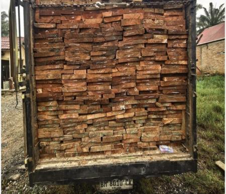 Truk Bermuatan 10 Kubik Kayu Ilegal Diamankan di Rohul, Dua Pengangkut Ditangkap