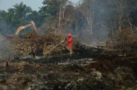 Ilustrasi 115 hotspot terdeteksi di Riau hari ini (foto/int)
