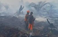 Karhutla di Kerumutan, Pelalawan masih membara (foto/int)