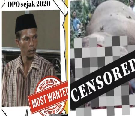 Tragis Gajah Ditembak dan Dipenggal di Ukui, Nama Ari Karyo Kembali Mencuat
