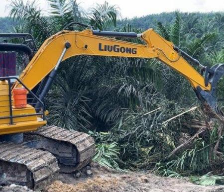 Dua Tersangka Perambah Taman Nasional Tesso Nilo Belum Ditahan, Publik Bertanya