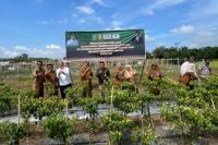 TPID Riau Perkuat Ketahanan Pangan, Ribuan Bibit Cabai Ditanam untuk Kendalikan Harga