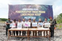 118 Hektare Hutan dan Mangrove di Rohil Diduga Dibabat, 2 Orang Jadi Tersangka