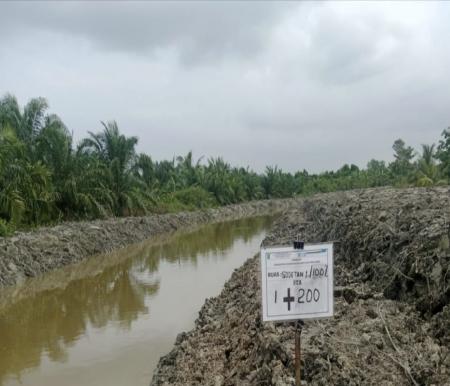 Pemprov Riau normalisasi daerah irigasi di Parit Aman, Rohil (foto/yuni)