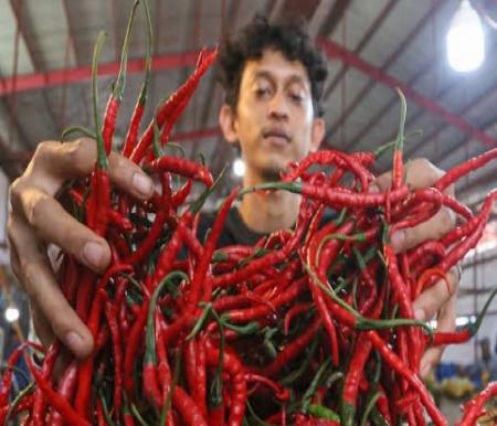 Ilustrasi harga cabai merah keriting di Pekanbaru meroket (foto/int)