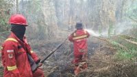 Tim Manggala Agni saat pemadaman karhutla di Riau.(foto: mcr)